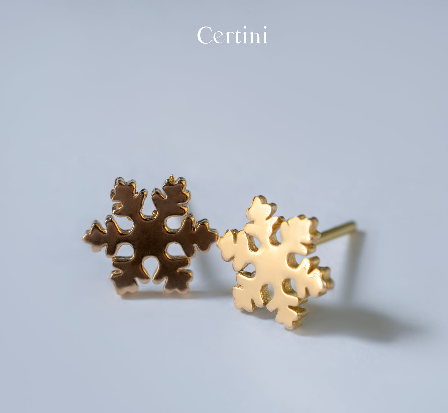 18k  Snowflake Earrings